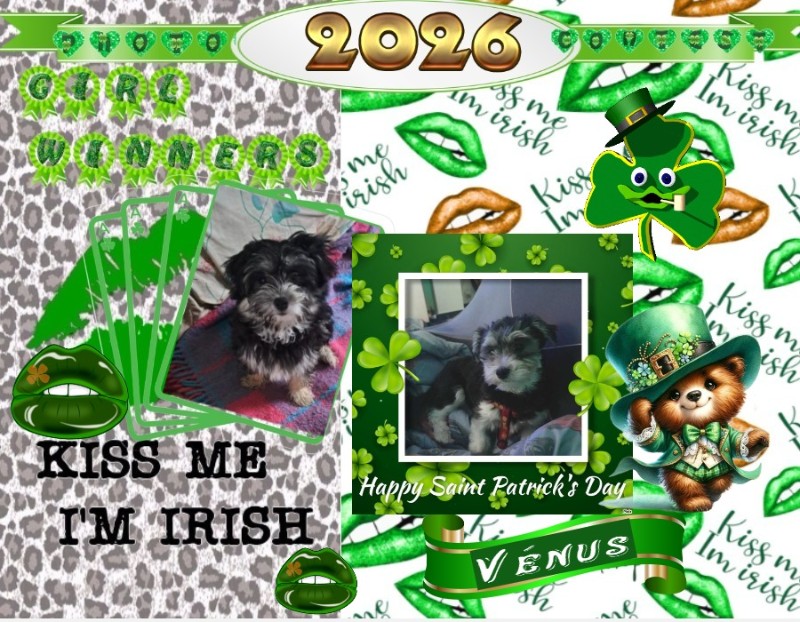 nyssen uploaded   27  day/s  ago