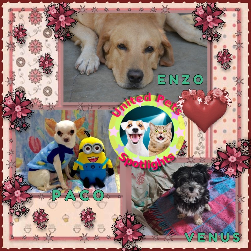 nyssen uploaded   2 year/s ago