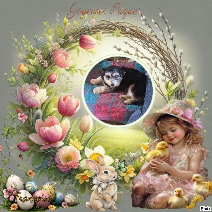 nyssen uploaded   24  day/s  ago