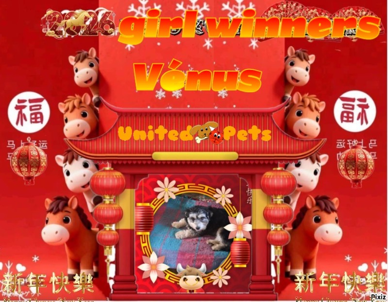 Vénus of the nyssen family