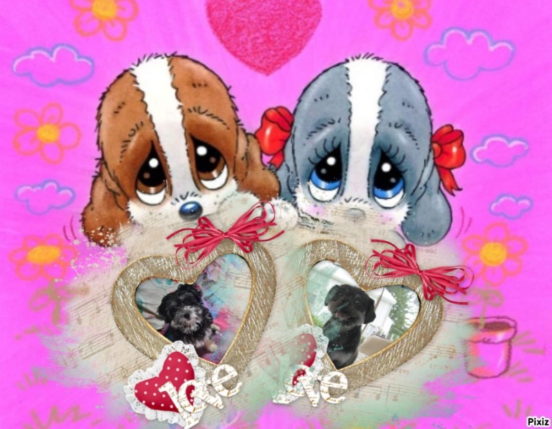 Vénus of the nyssen family