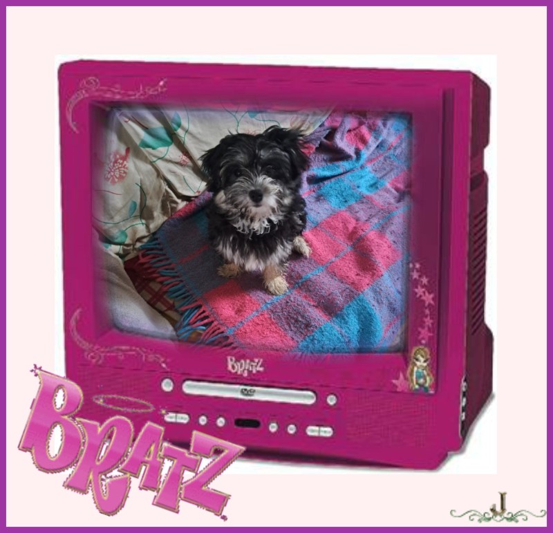 nyssen uploaded   2 hour/s ago