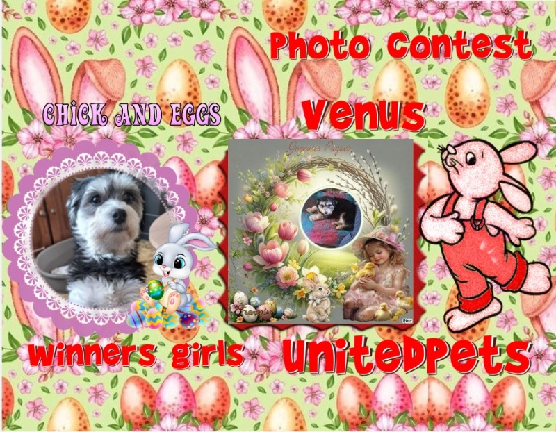 Vénus of the nyssen family