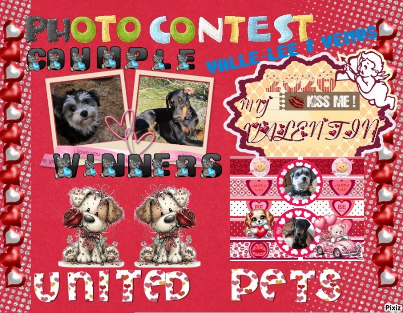 Vénus of the nyssen family