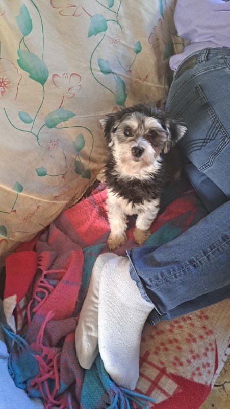 nyssen uploaded   1 year/s ago