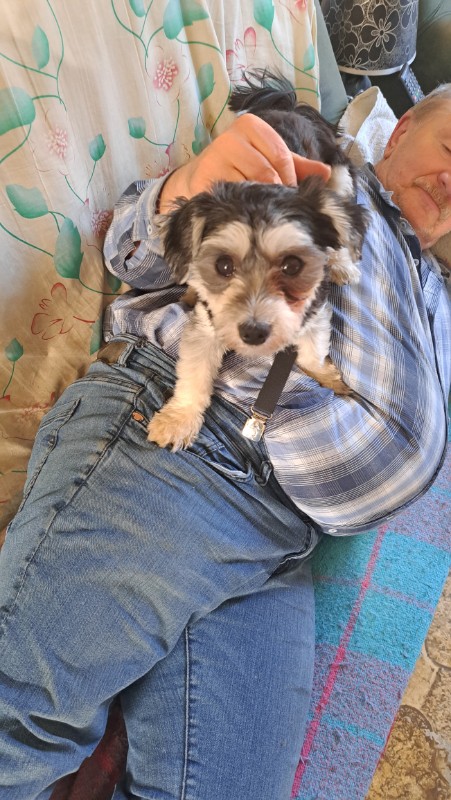 nyssen uploaded   1 year/s ago