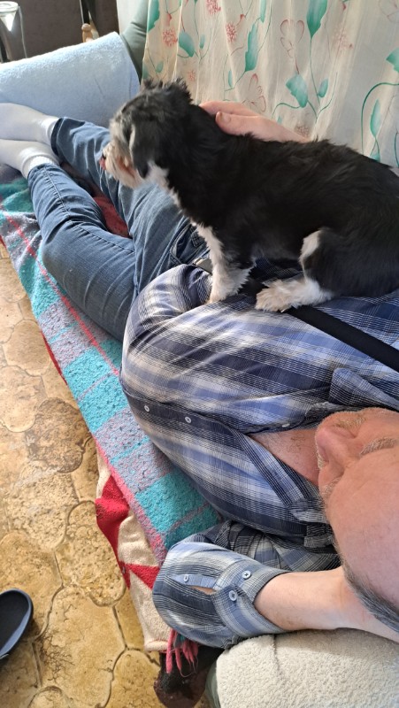 nyssen uploaded   1 year/s ago