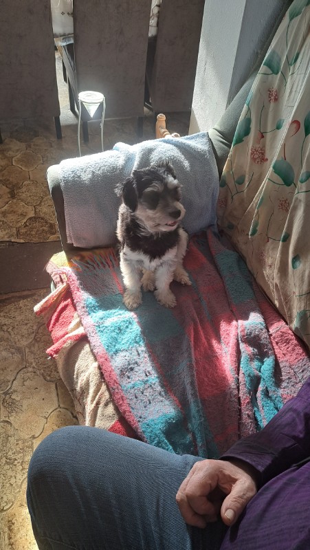 nyssen uploaded   1 year/s ago