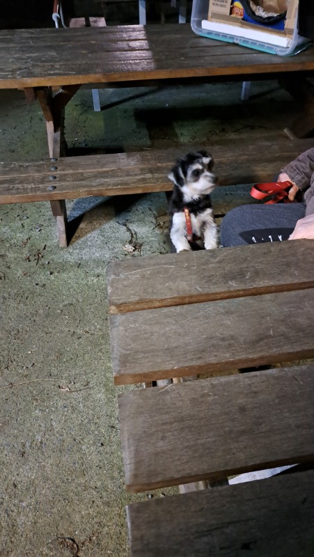 nyssen uploaded   1 year/s ago