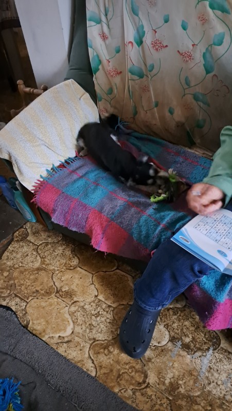 nyssen uploaded   1 year/s ago