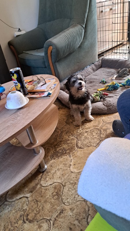 nyssen uploaded   1 year/s ago