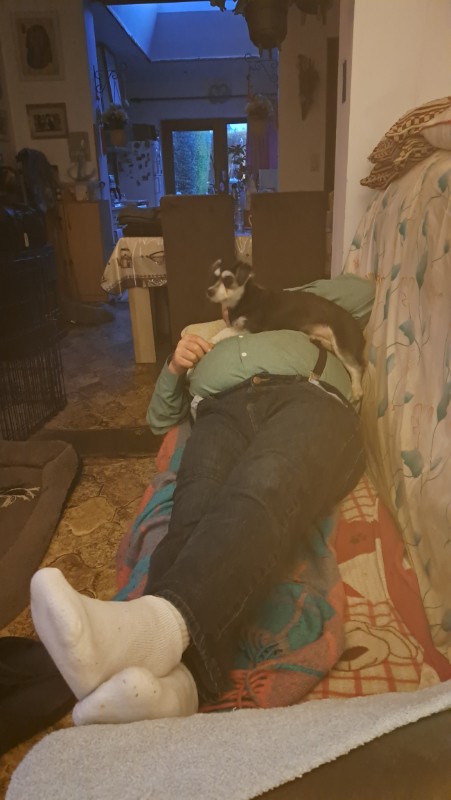 nyssen uploaded   1 year/s ago