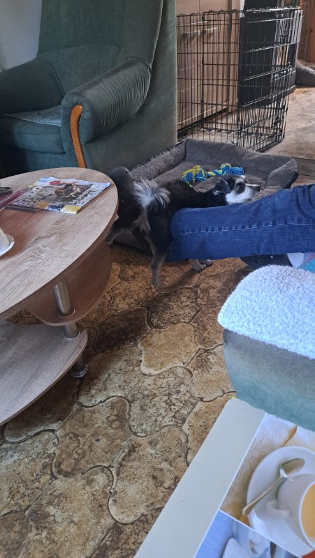 nyssen uploaded   1 year/s ago