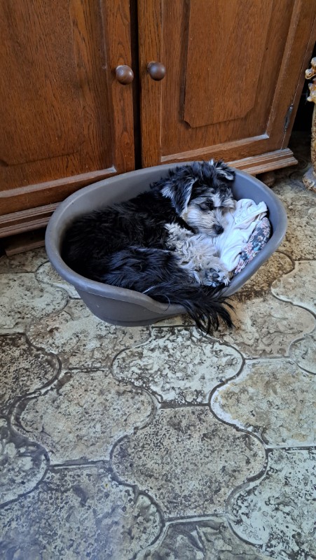 nyssen uploaded   1 year/s ago