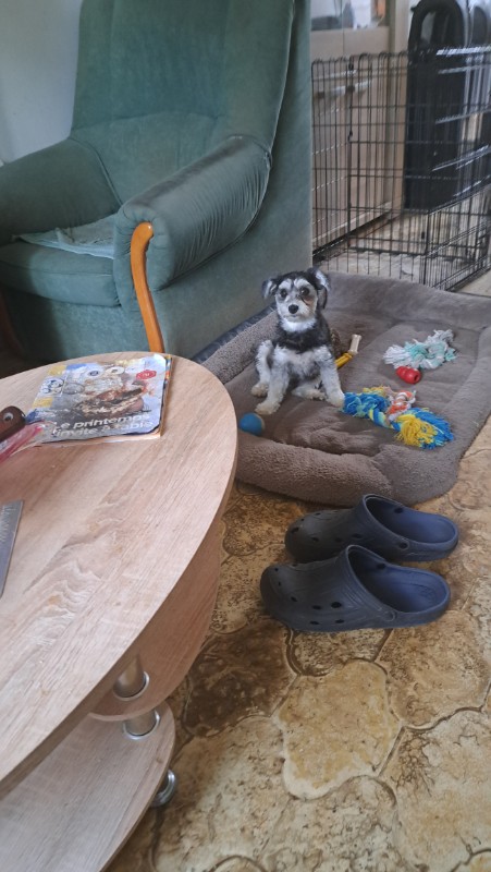 nyssen uploaded   334  day/s  ago