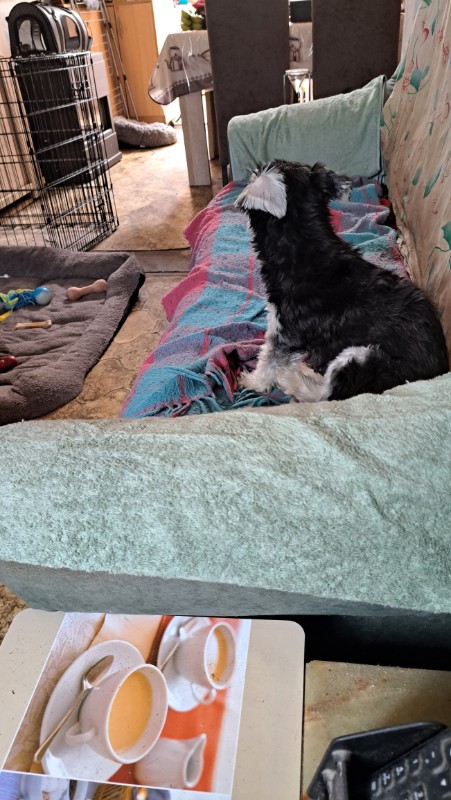 nyssen uploaded   318  day/s  ago