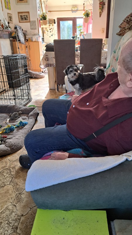 nyssen uploaded   1 year/s ago