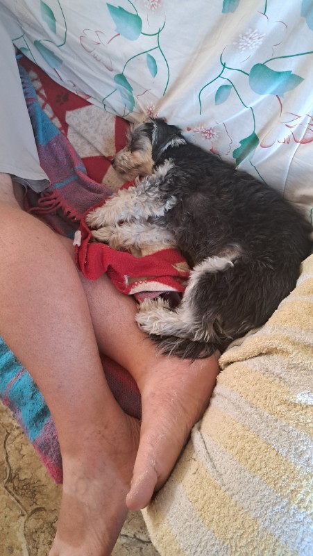 nyssen uploaded   299  day/s  ago