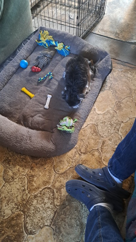 nyssen uploaded   1 year/s ago