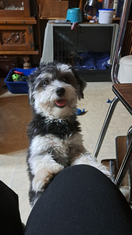 nyssen uploaded   1 year/s ago