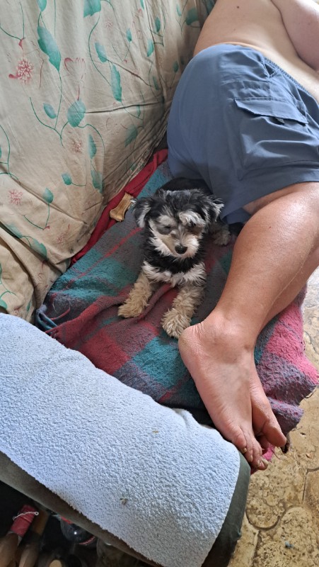 nyssen uploaded   304  day/s  ago