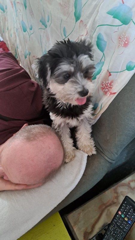 nyssen uploaded   1 year/s ago