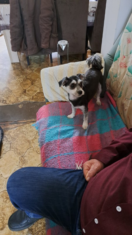 nyssen uploaded   1 year/s ago