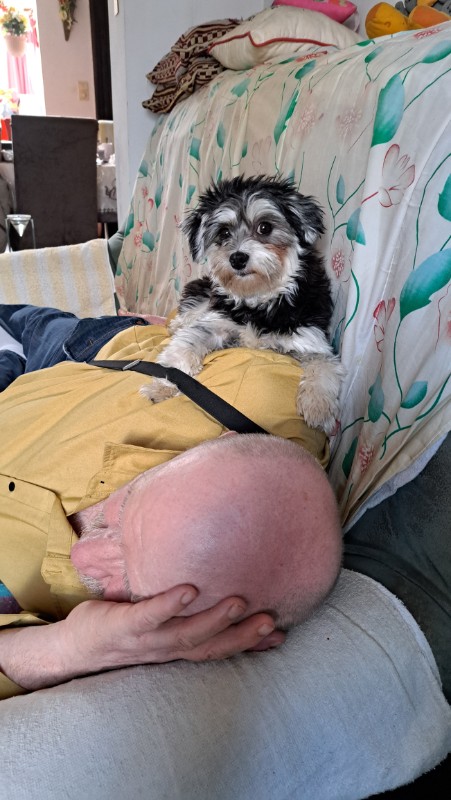 nyssen uploaded   1 year/s ago