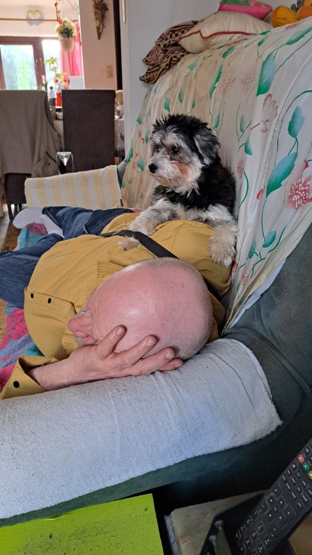 nyssen uploaded   1 year/s ago