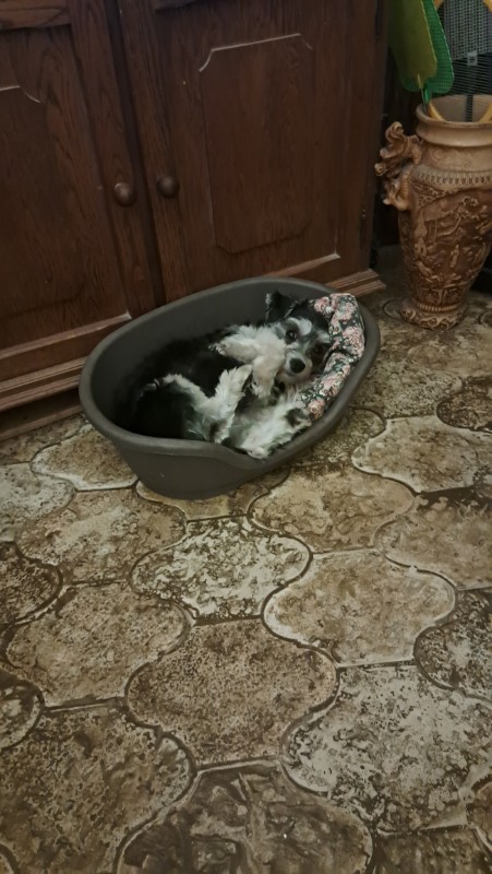 nyssen uploaded   1 year/s ago