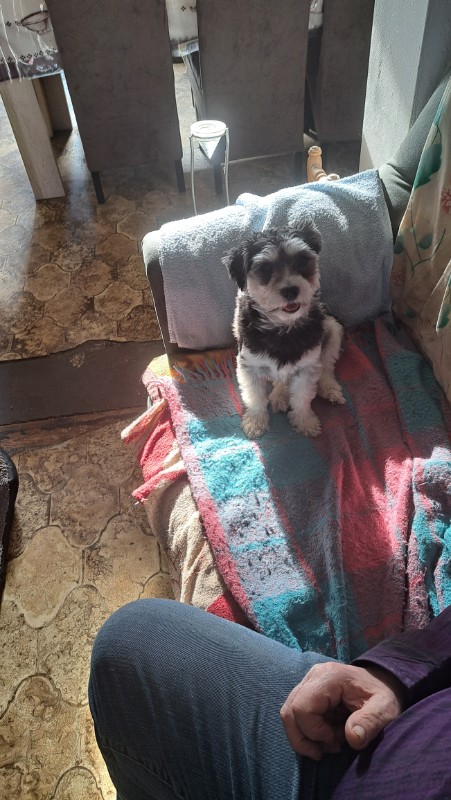 nyssen uploaded   1 year/s ago