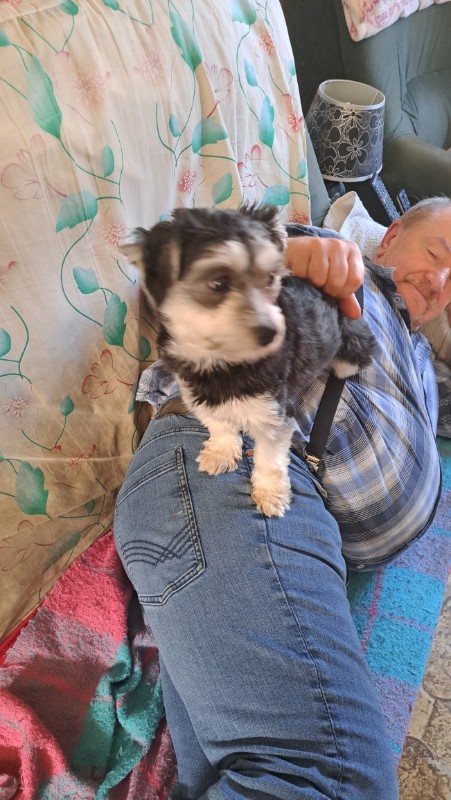 nyssen uploaded   1 year/s ago