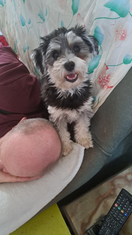 nyssen uploaded   1 year/s ago