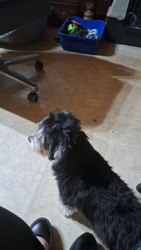 nyssen uploaded   1 year/s ago