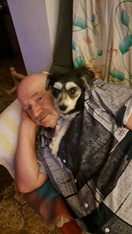 nyssen uploaded   344  day/s  ago