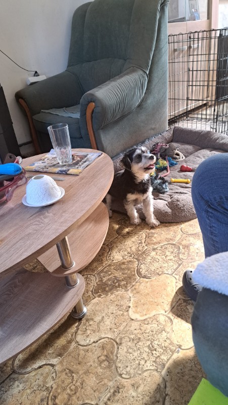 nyssen uploaded   1 year/s ago