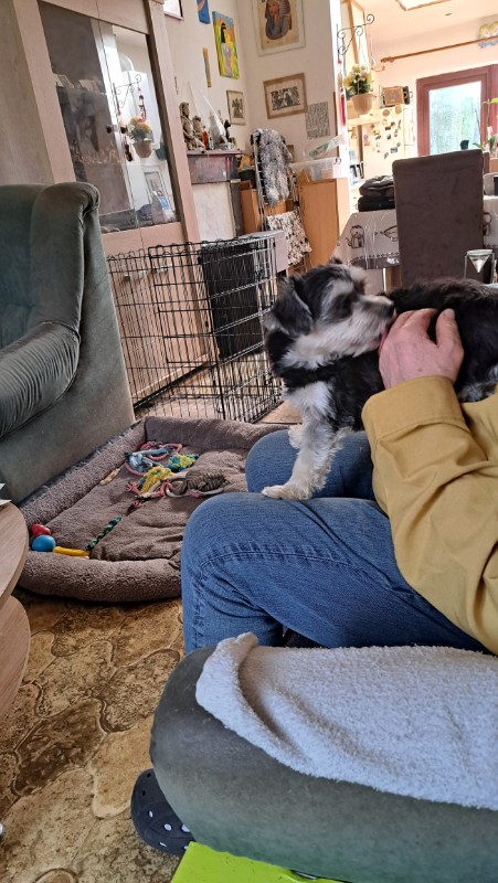 nyssen uploaded   1 year/s ago