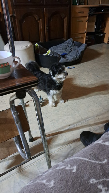 nyssen uploaded   1 year/s ago