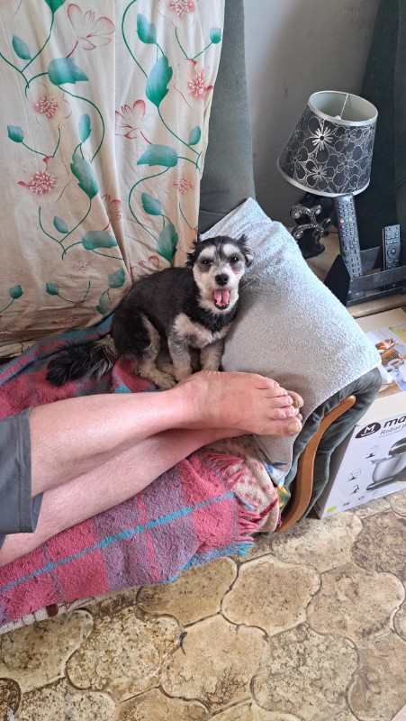 nyssen uploaded   340  day/s  ago