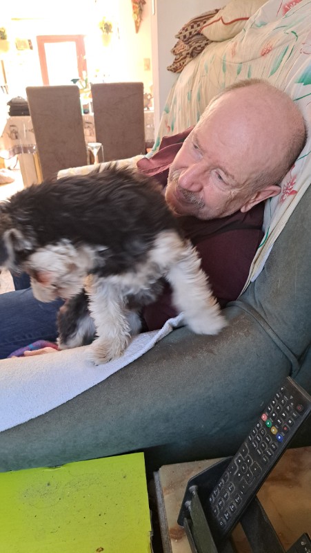 nyssen uploaded   1 year/s ago