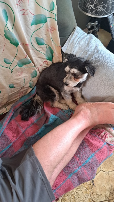 nyssen uploaded   340  day/s  ago