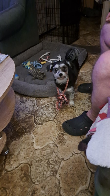 nyssen uploaded   1 year/s ago