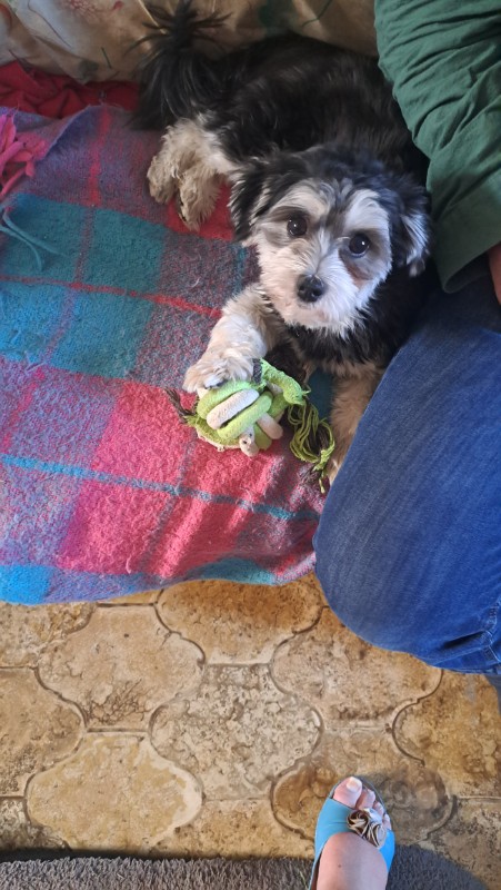 nyssen uploaded   1 year/s ago