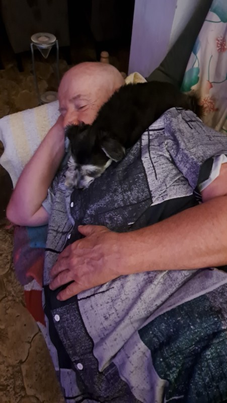 nyssen uploaded   344  day/s  ago