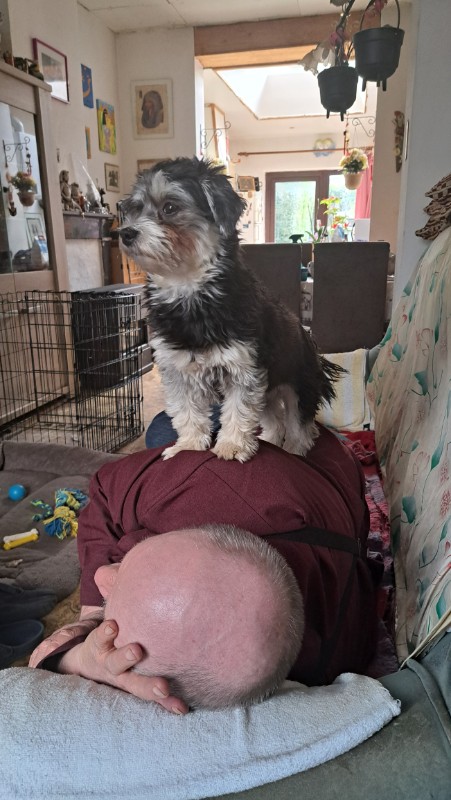 nyssen uploaded   1 year/s ago