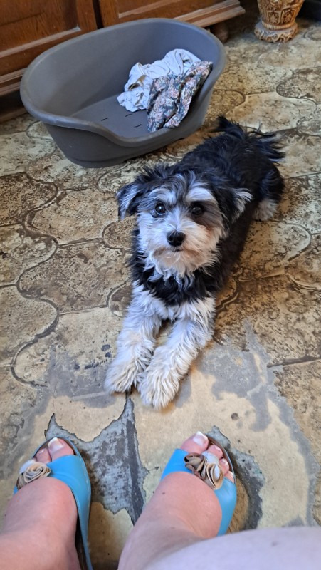 nyssen uploaded   1 year/s ago