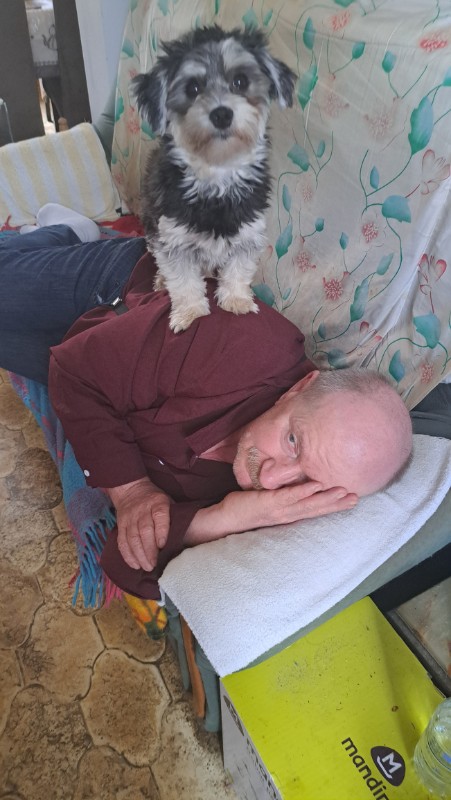 nyssen uploaded   1 year/s ago