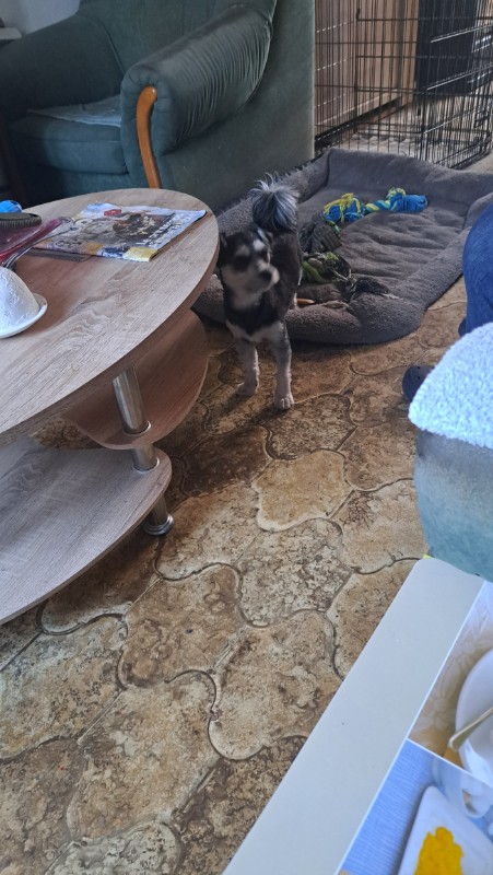 nyssen uploaded   1 year/s ago