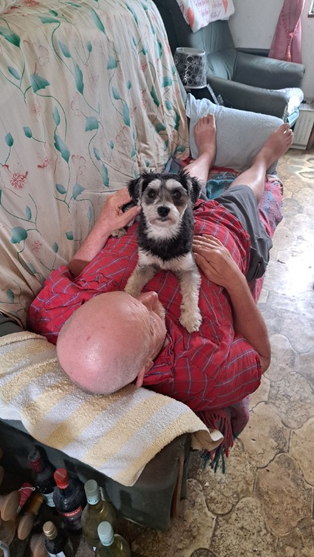 nyssen uploaded   340  day/s  ago