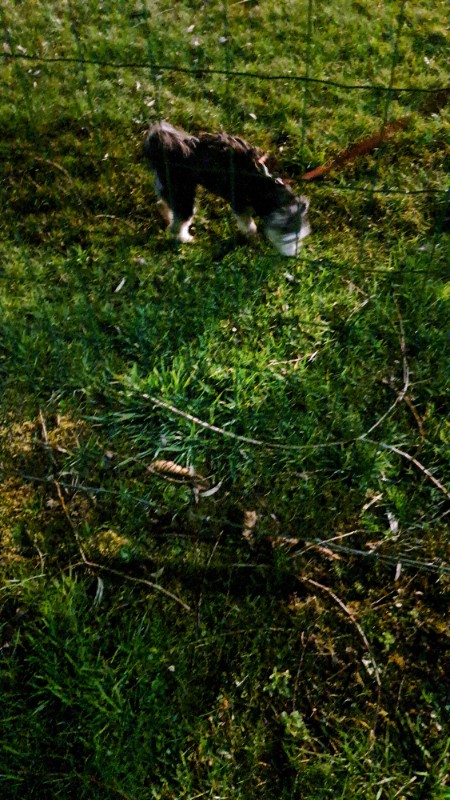 nyssen uploaded   1 year/s ago